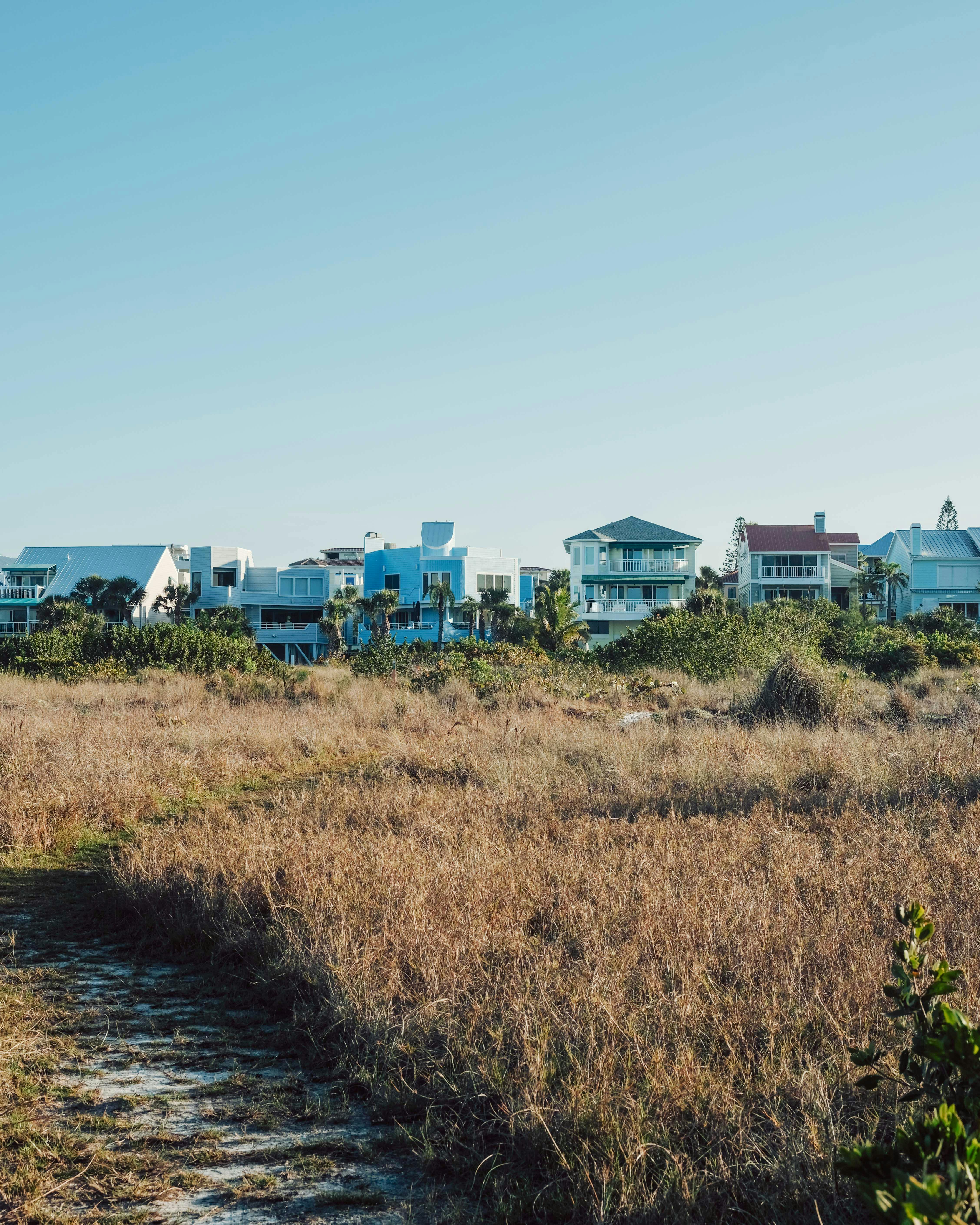 Charming seaside houses amidst grassland on a sunny summer day.