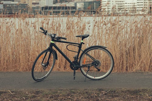Безкоштовне стокове фото на тему «jönköping, берег озера, велосипед»