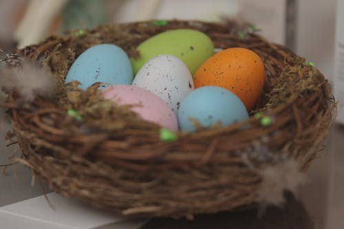 Colorful Easter Eggs in Nest