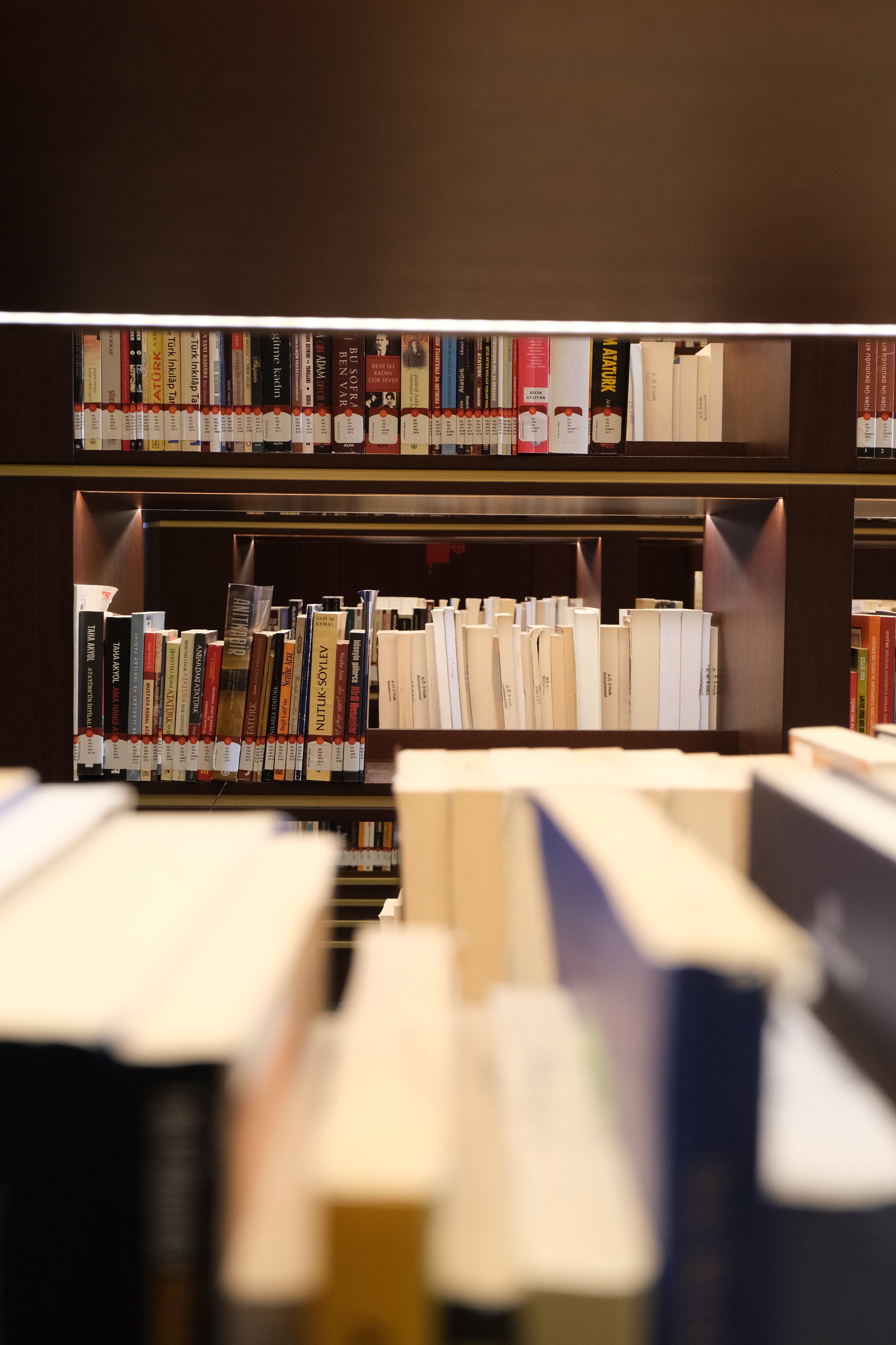 Gratis Immagine gratuita di #interno, accademico, apprendimento Foto a disposizione