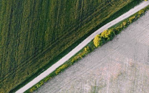 Kostenloses Stock Foto zu außerorts, drohne erschossen, felder