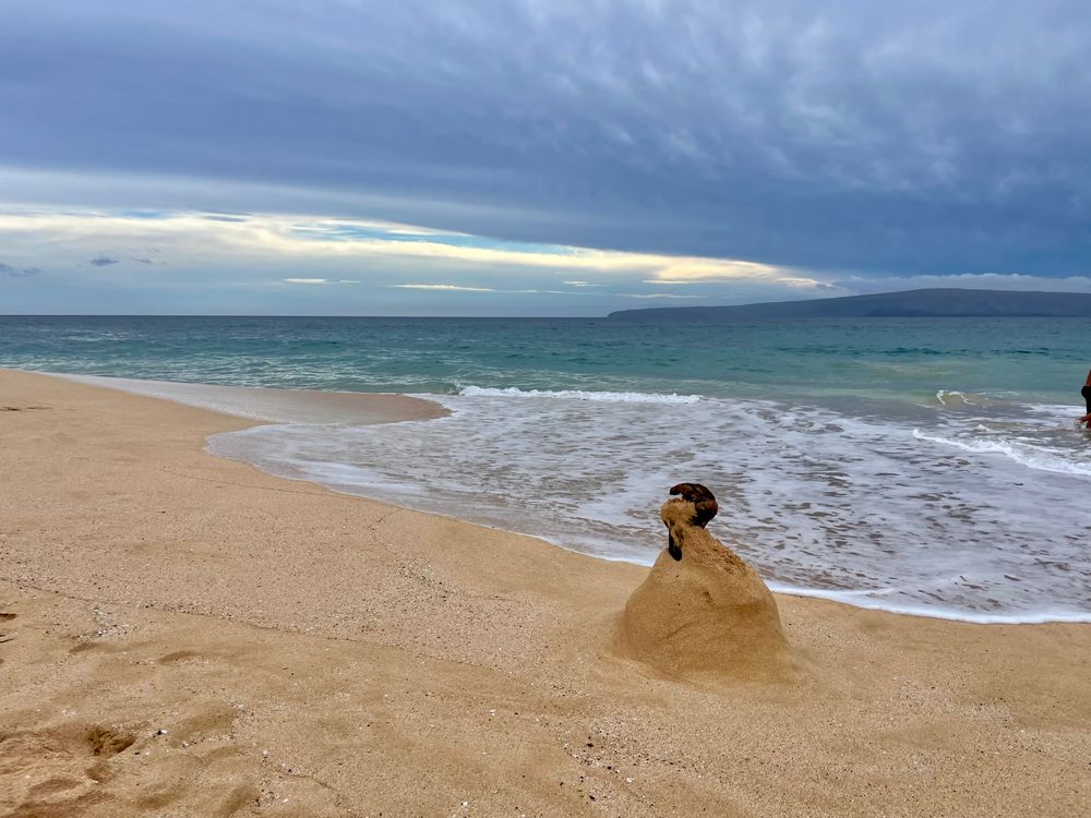 Rectangular Sand Structures Sand Structure Formed on the Beach · Free Stock Photo