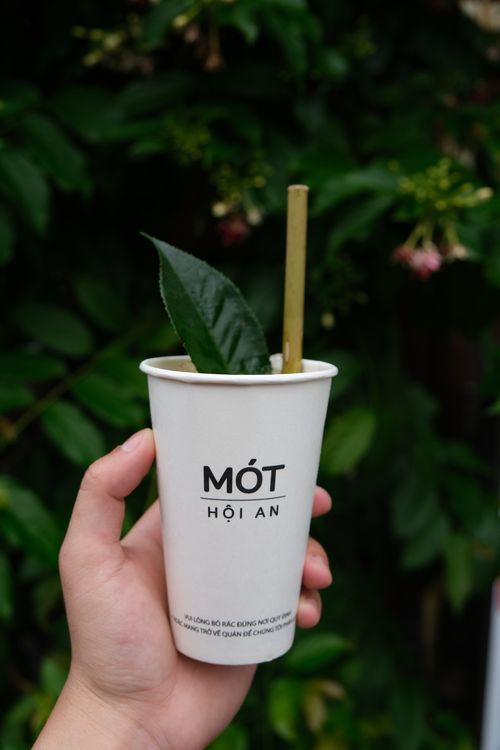 Free Close-up of a hand holding a herbal drink in a paper cup with a leaf and bamboo straw. Stock Photo