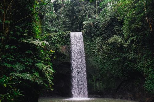 Free Experience the serene beauty of a lush waterfall in Bali's dense jungle. Stock Photo