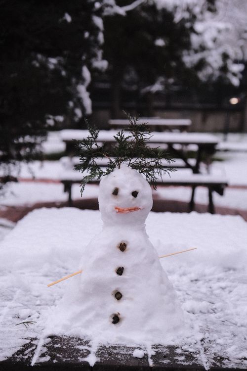 Free Charming small snowman on snowy picnic table in a winter park setting. Stock Photo
