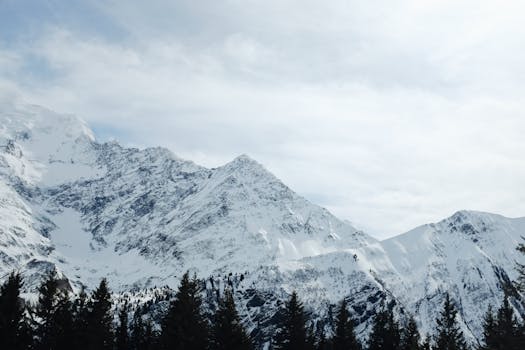 Stunning winter mountain landscape with snow-covered peaks and pine forest under a clear sky.
