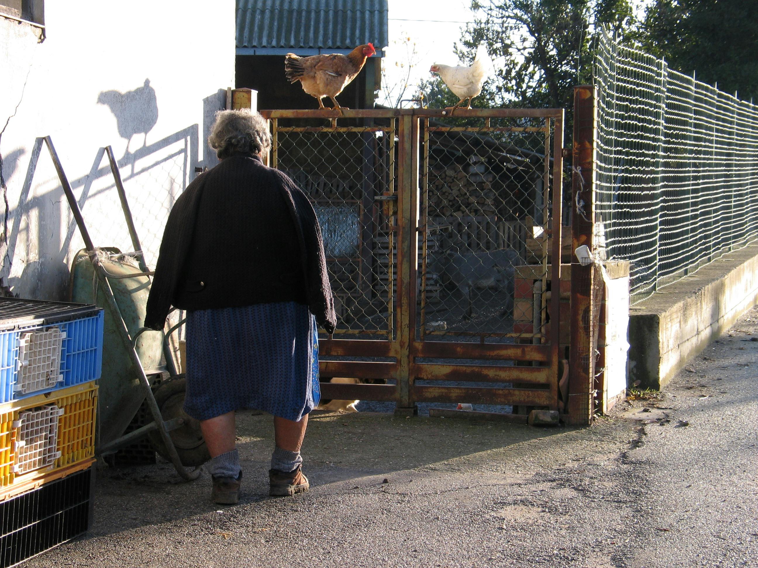 a woman standing next to a fence with chickens on top