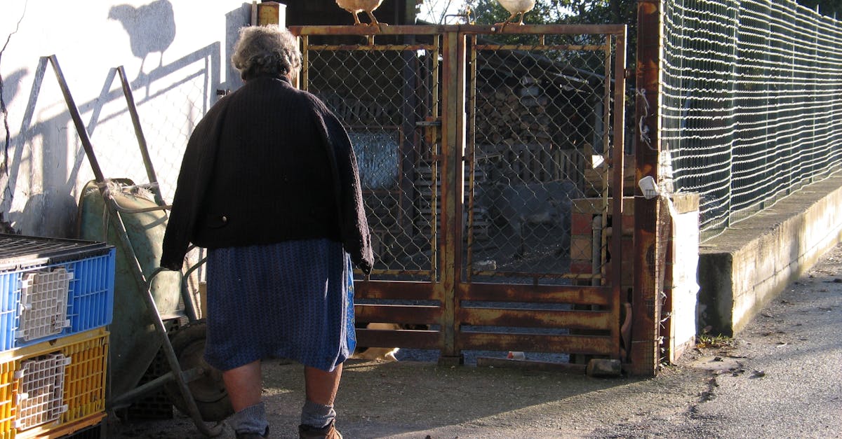 A woman standing next to a fence with chickens on top