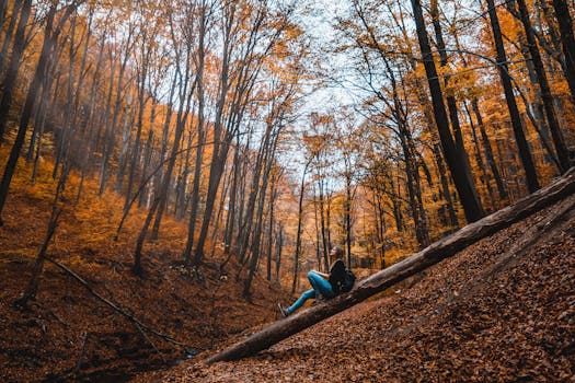一个宁静的秋日场景中，一个女人坐在色彩斑斓的森林里的一根原木上