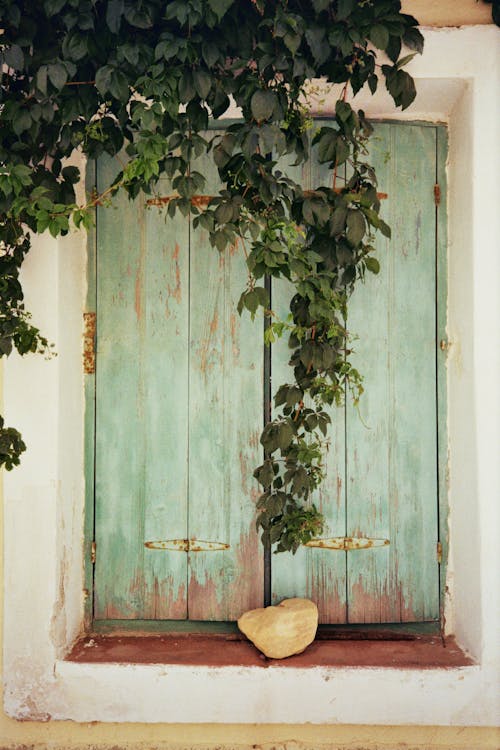 คลังภาพถ่ายฟรี ของ ชัตเตอร์, ทำด้วยไม้, ประตู