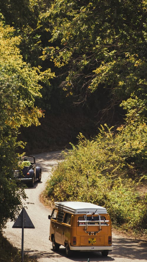 ağaçlar, araç, arkadan görünüm içeren Ücretsiz stok fotoğraf
