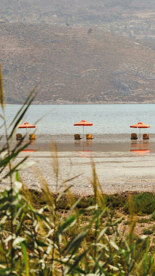 dikey atış, göl kıyısı, plaj şemsiyeleri içeren Ücretsiz stok fotoğraf