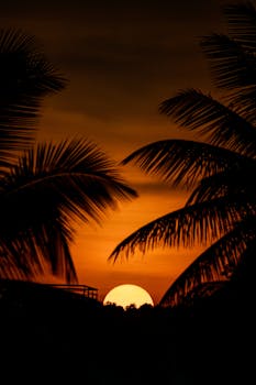 A serene tropical sunset framed by palm trees with an orange sky.