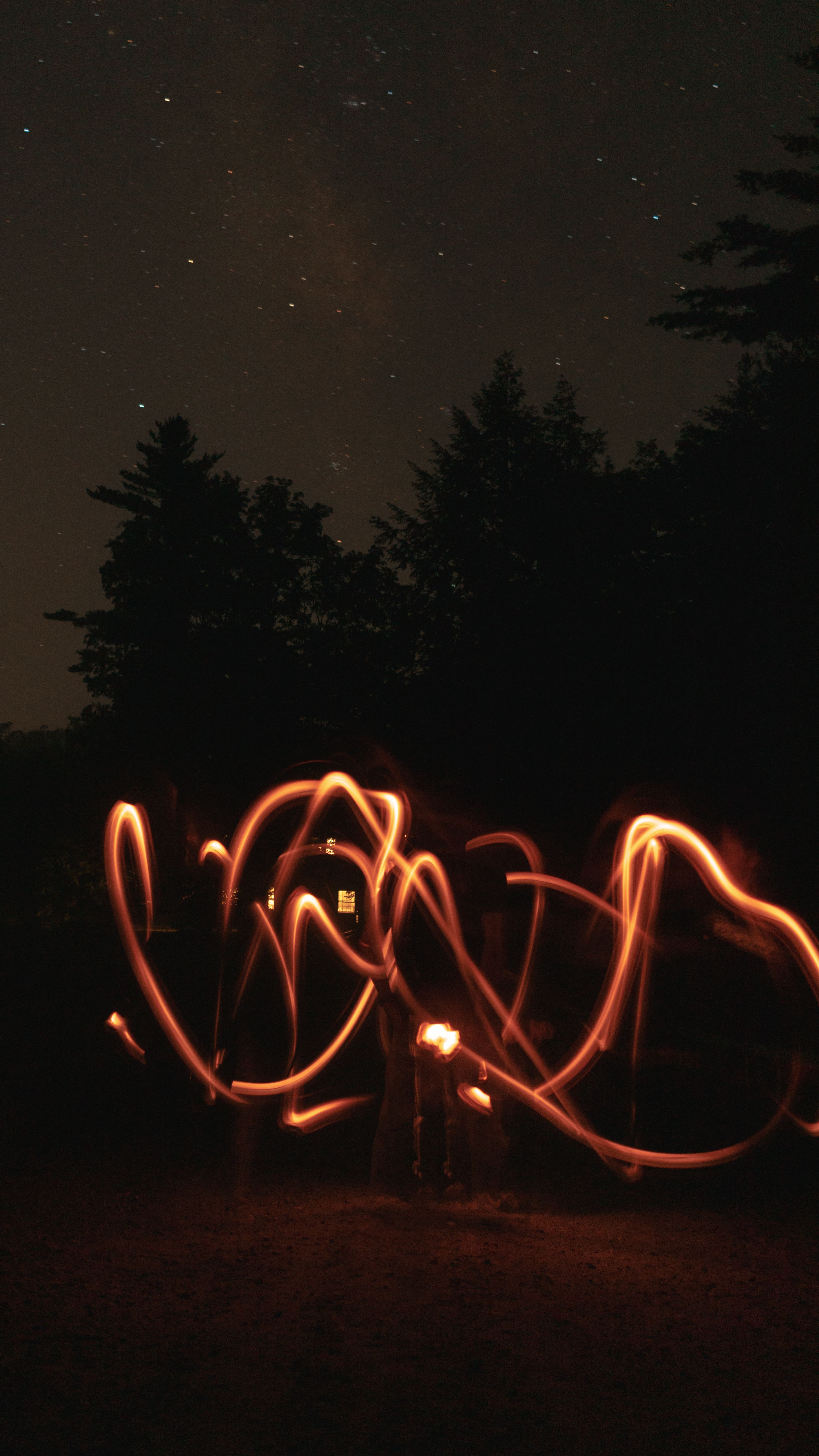 Enchanting forest scene with long exposure light trails and starry night sky.. pexels, enchanting, forest