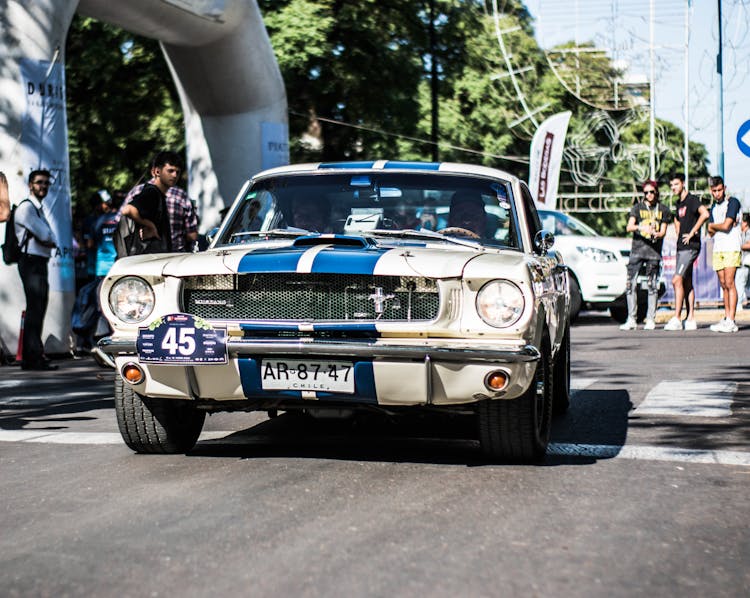 Shelby Mustang Car