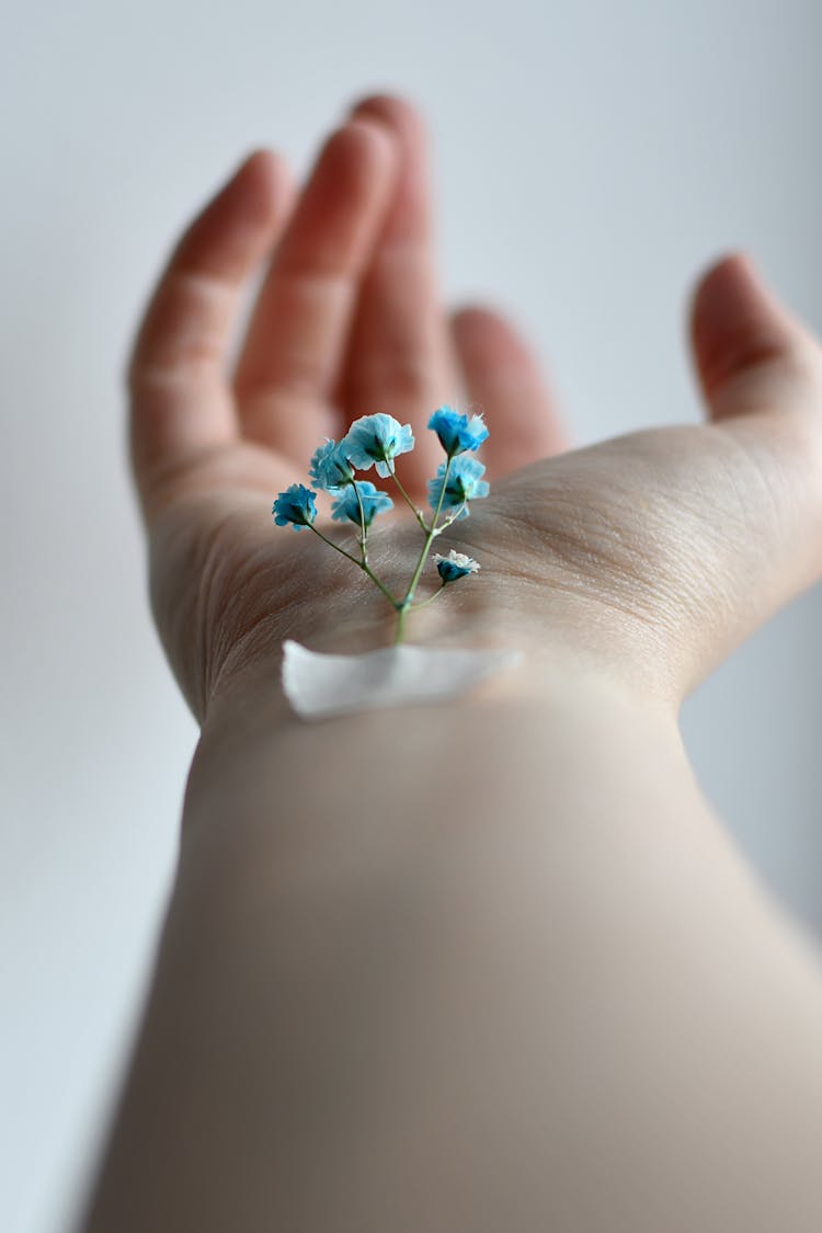 Closeup Of A Blue Miniature Flower On A Hand