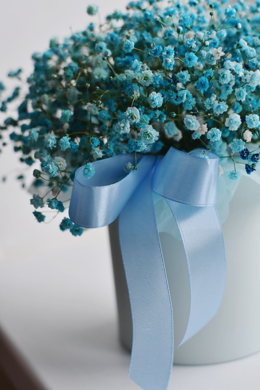 Blue Baby Breath
