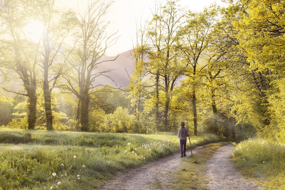 person walking forward on path - healing broken relationships