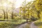 Artwork for Lifestyle Secrets to Longevity, Wellness & Fulfillment at 83 with Michael Dorfman