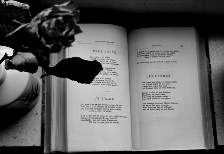 Open Book Of Poetry In French