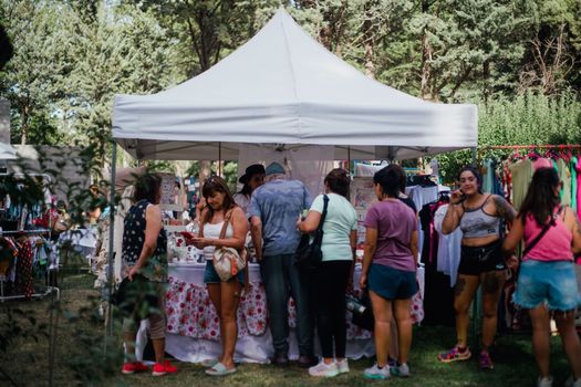 Visitors browse goods at an outdoor market stand surrounded by trees and vibrant displays.