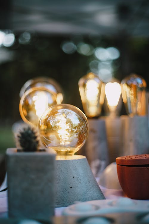 Bulbs in a Modern Style