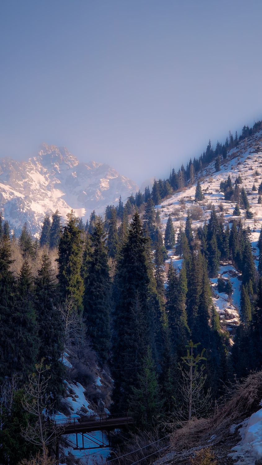 Conifer forest and snowy mountain slopes in winter in Almaty Kazakhstan