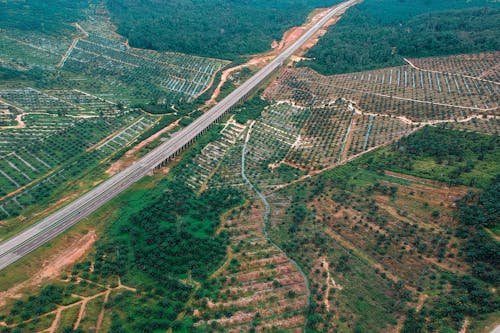 Bird's Eye View Photo Of Field