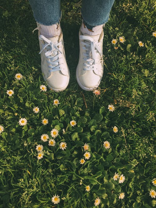 Shoes of Person Standing on Grass with Daisies
