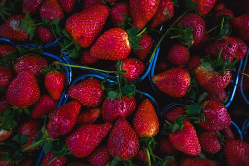 Gratis arkivbilde med jordbær, mat