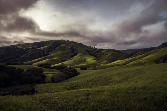 The green Sierra Nevada foothills near the Sequoia entrance