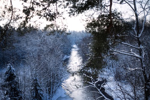 Fotobanka s bezplatnými fotkami na tému chladný, krajina, sezóna