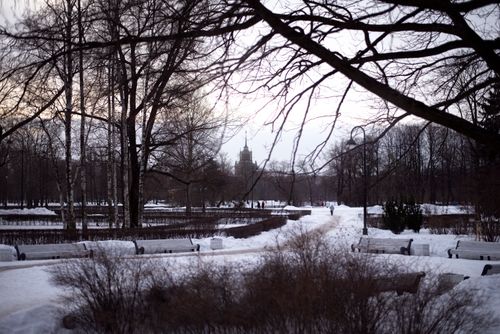 Free Serene winter landscape featuring a snow-covered park path and trees. Stock Photo