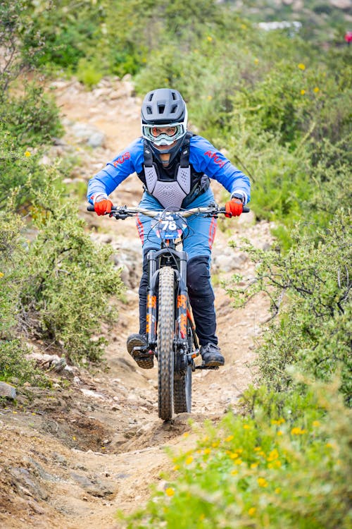 Foto profissional grátis de andar a cavalo, ativo, bicicleta de montanha