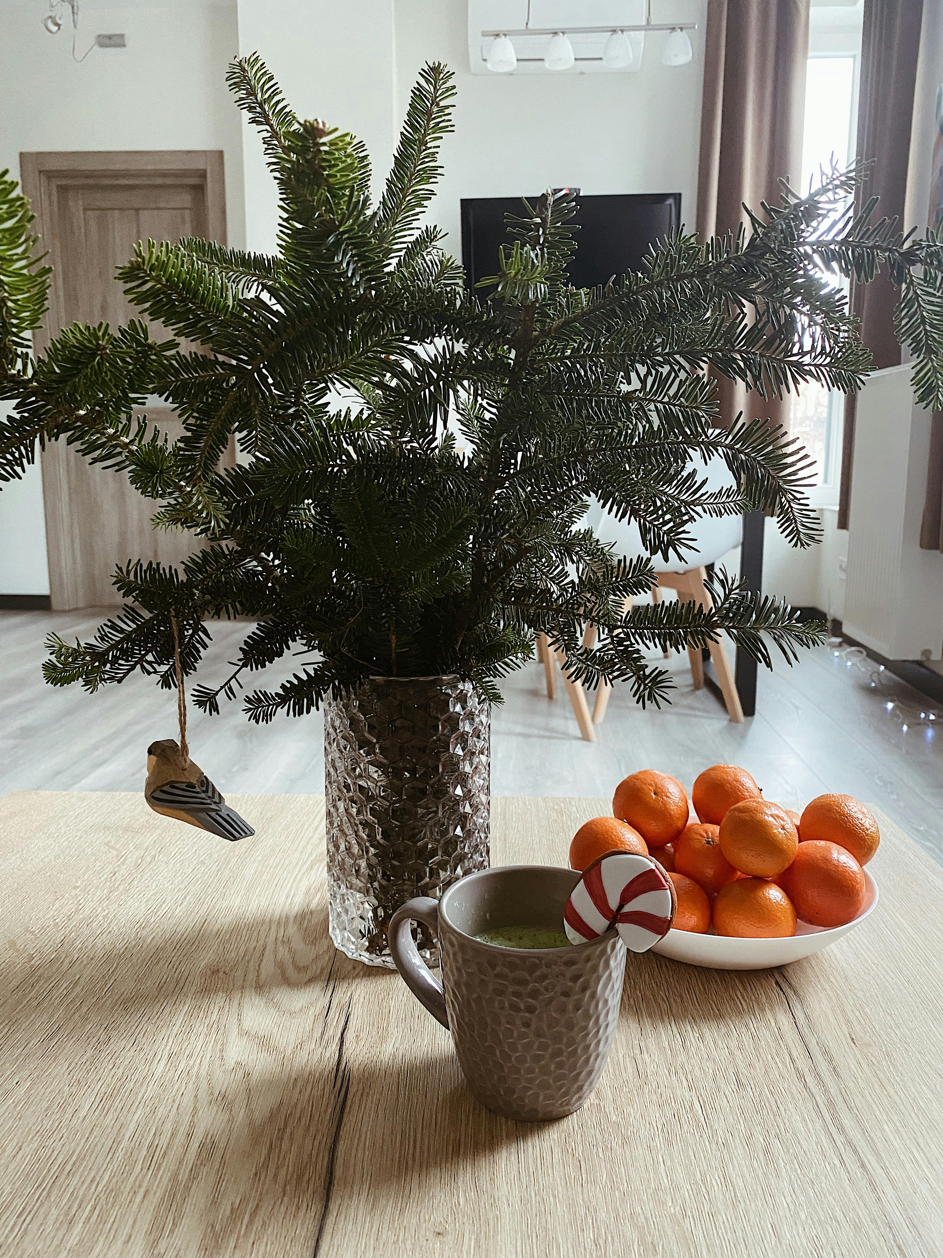 winter mood cup of hot drink with gingerbread and tangerines