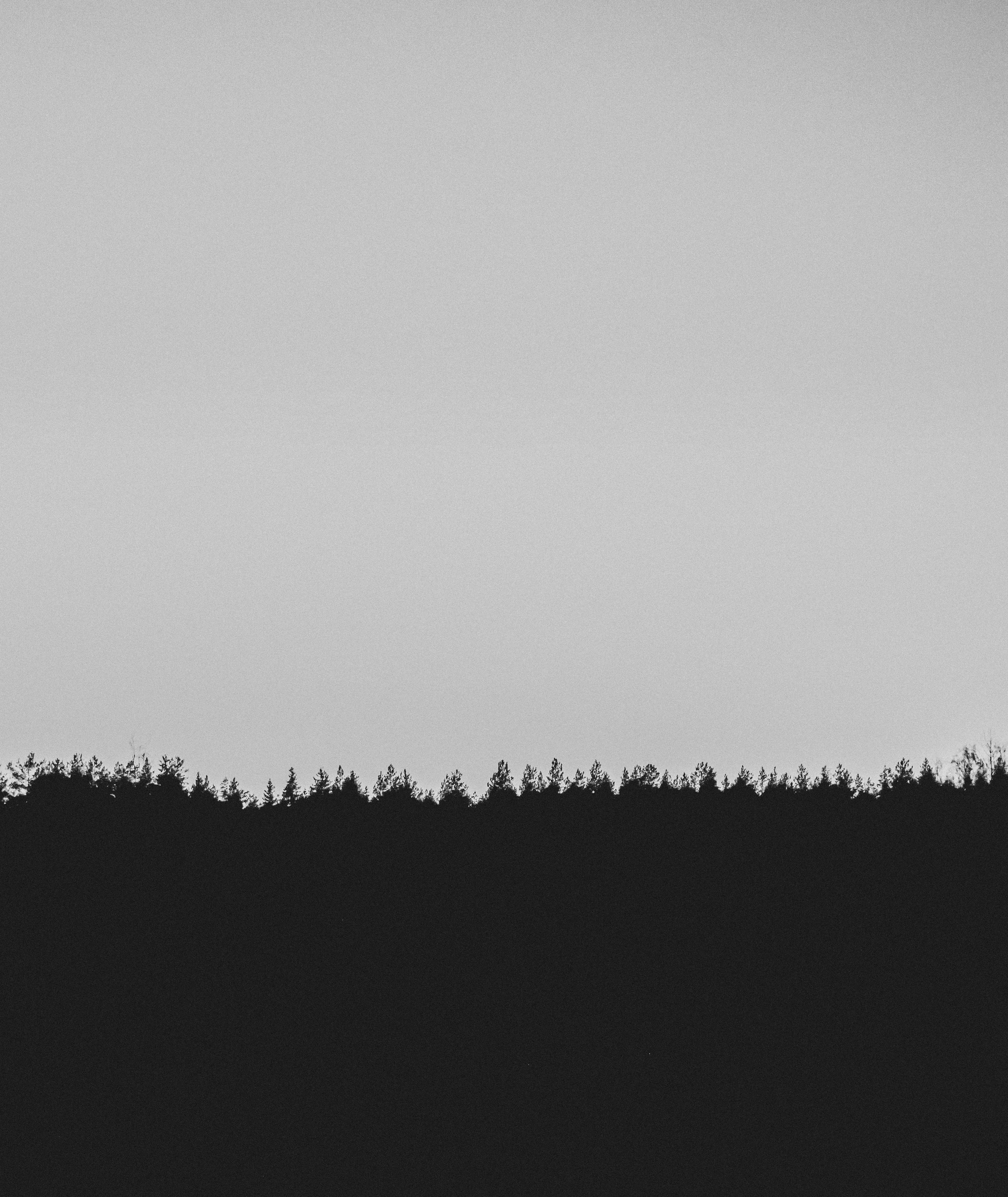Free A striking black and white silhouette of a forest against a clear sky, ideal for mobile wallpaper. Stock Photo