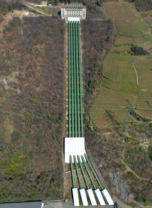 A Gas Pipeline in the Forest