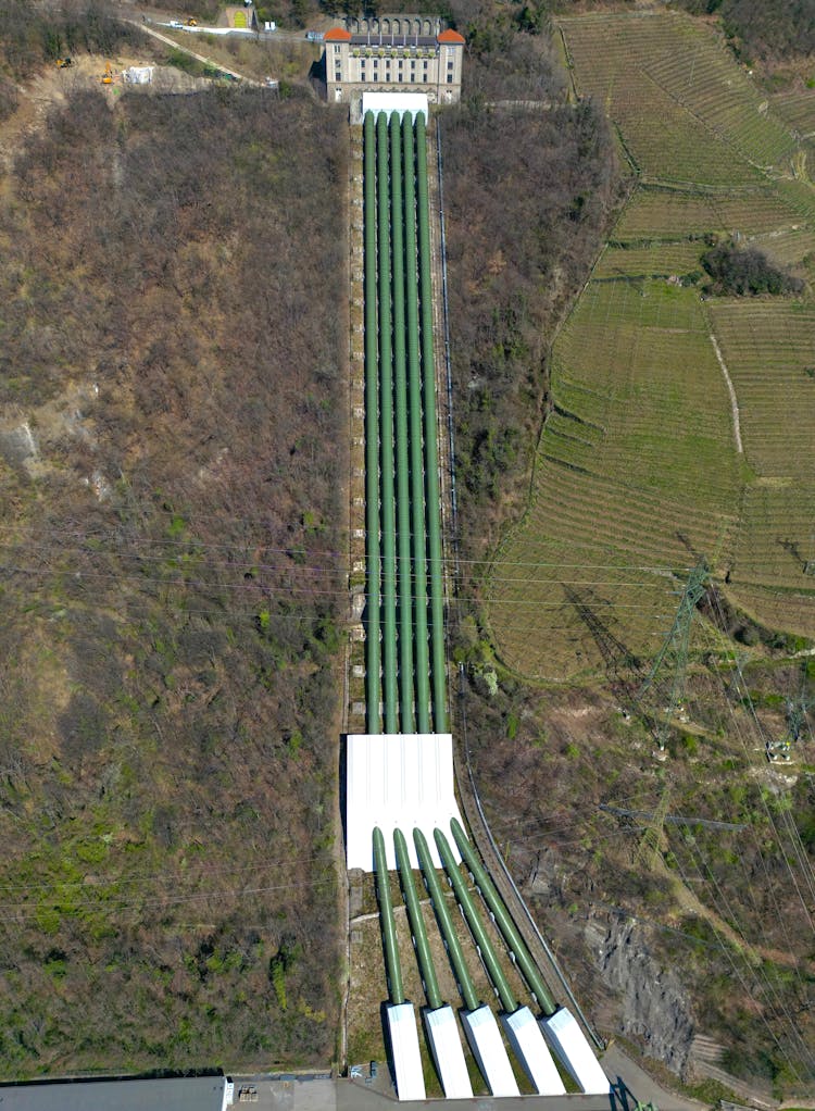 A Gas Pipeline In The Forest