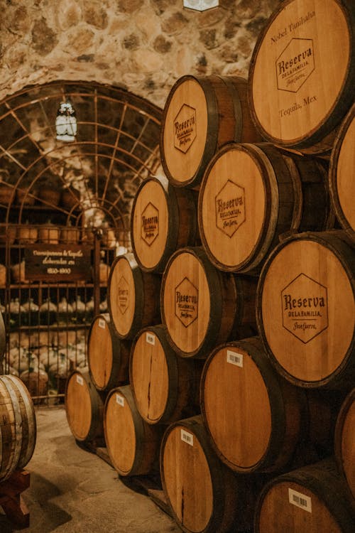 View of Wooden Barrels with Tequila in a Basement 