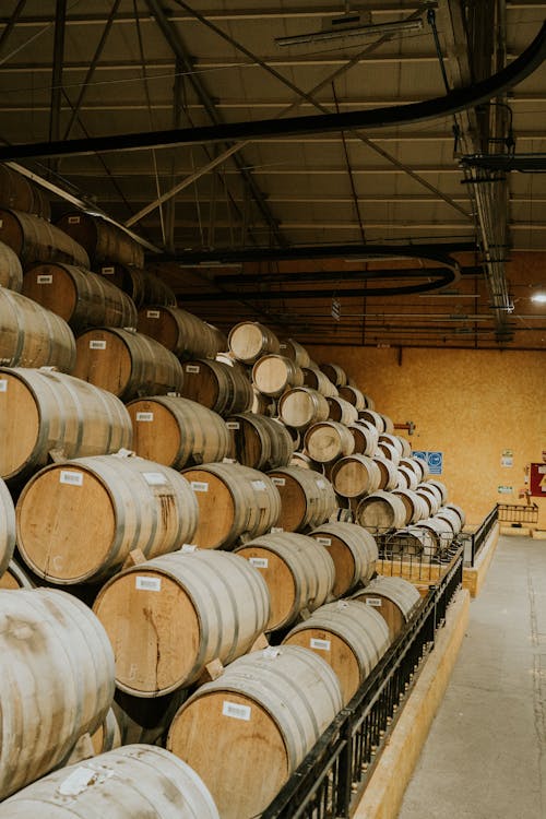 Wine Kegs in Vineyard Basement