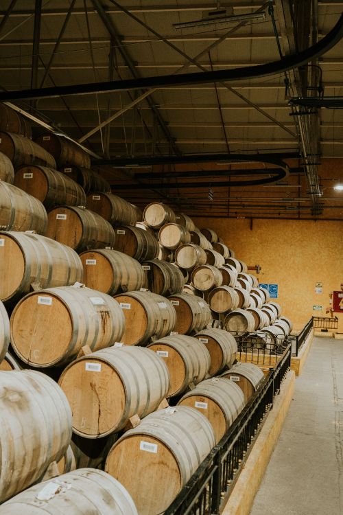Free A view of neatly stacked wine barrels in a vineyard cellar, showcasing abundant wine storage. Stock Photo