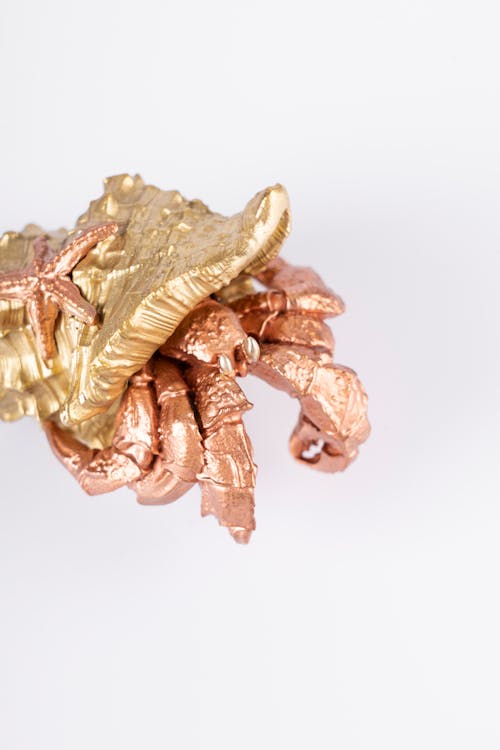 Close up of Golden Snake Eating Crab