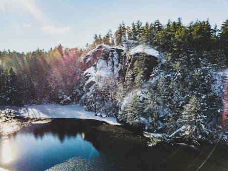 明亮的日光下，白雪覆盖的悬崖、树木和平静的湖泊构成了一幅宁静的冬季景象