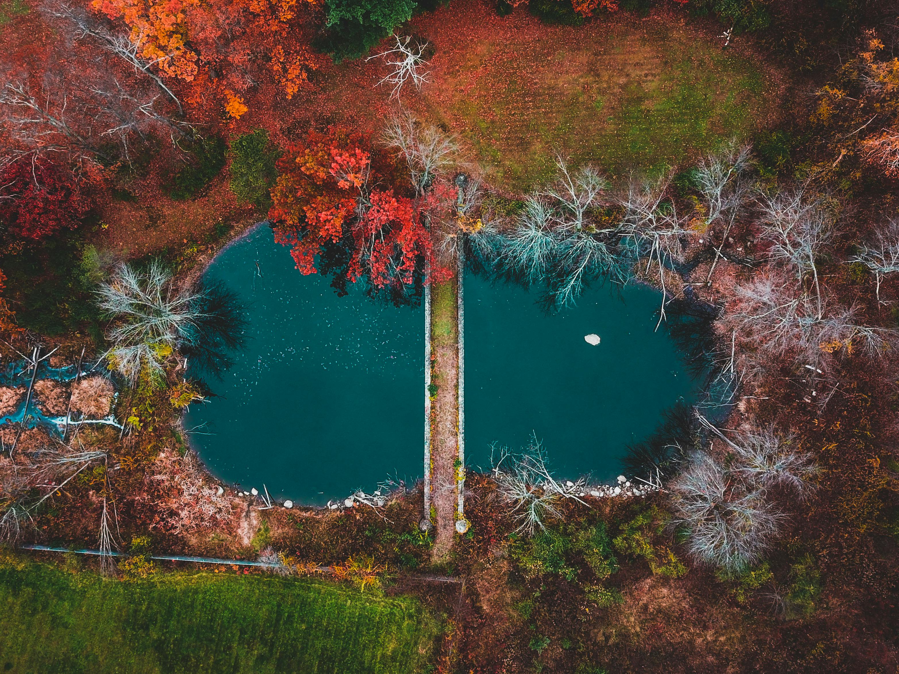无人机拍摄了一处宁静的秋日景观，其中有一座充满活力的池塘和一座小桥