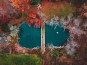 无人机拍摄了一处宁静的秋日景观，其中有一座充满活力的池塘和一座小桥