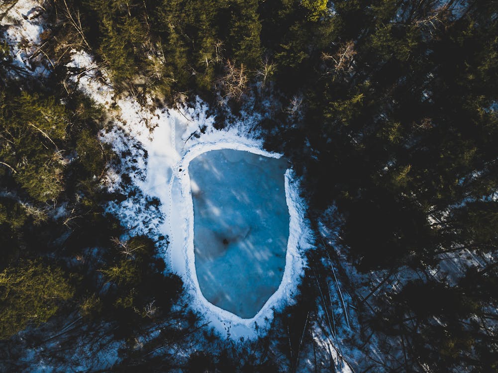 Fotografia Aérea De Um Corpo D'água Coberto De Neve E Cercado Por árvores