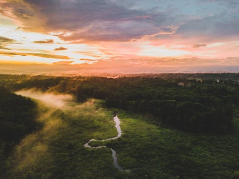 日落时分，蜿蜒的河流与充满活力的天空色彩映衬下，空中拍摄的森林景观令人惊叹