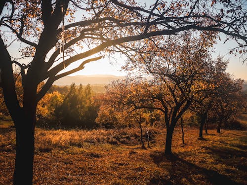 Losing Daylight? September Cuts Hours Of Sunshine
