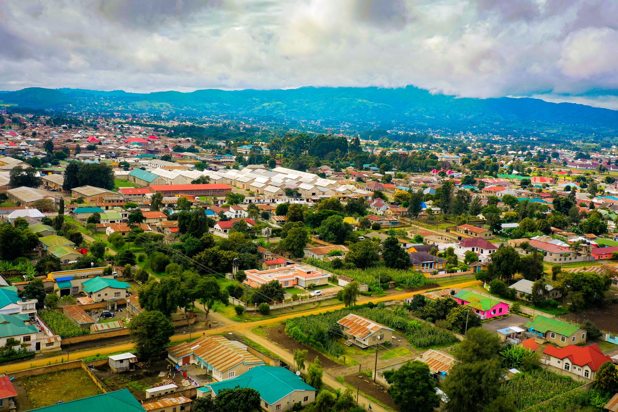 Songea
