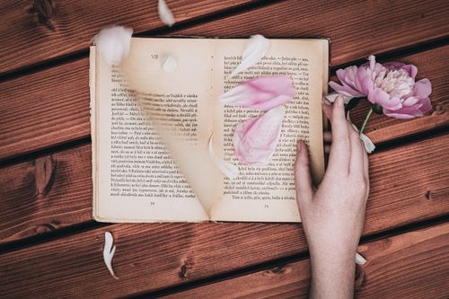 Free A hand holds a flower next to an open book on a wooden table with scattered petals. Stock Photo